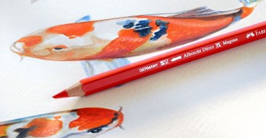 How to colour Koi Fish with Albrecht Dürer Magnus